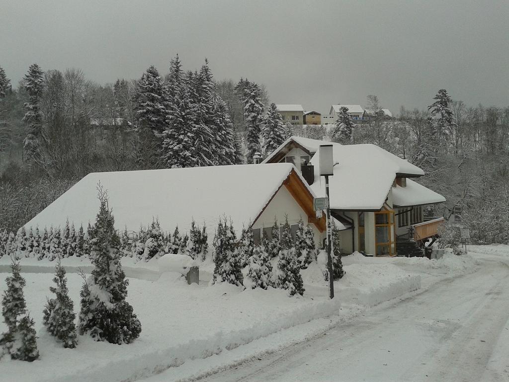 Dzt-Schwarzwaldhotel Garni Unterkirnach المظهر الخارجي الصورة